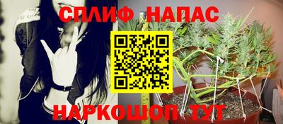 apvp Лесосибирск